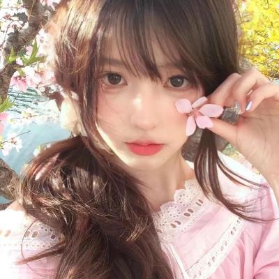 北境密林谜踪